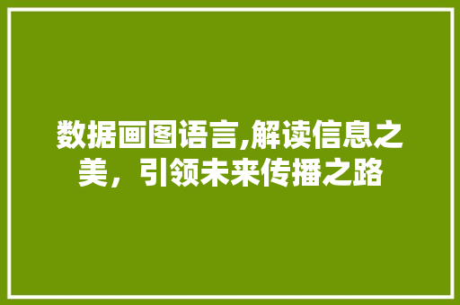 数据画图语言,解读信息之美，引领未来传播之路