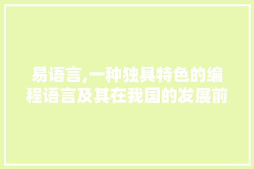 易语言,一种独具特色的编程语言及其在我国的发展前景