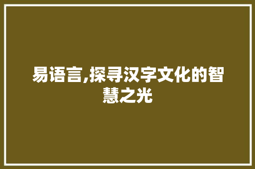 易语言,探寻汉字文化的智慧之光