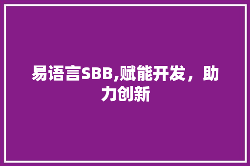 易语言SBB,赋能开发，助力创新