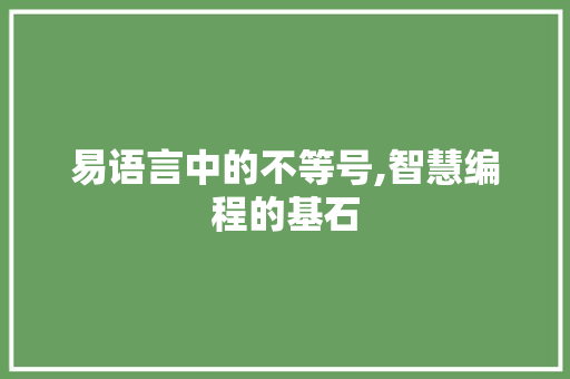 易语言中的不等号,智慧编程的基石