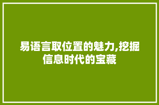 易语言取位置的魅力,挖掘信息时代的宝藏
