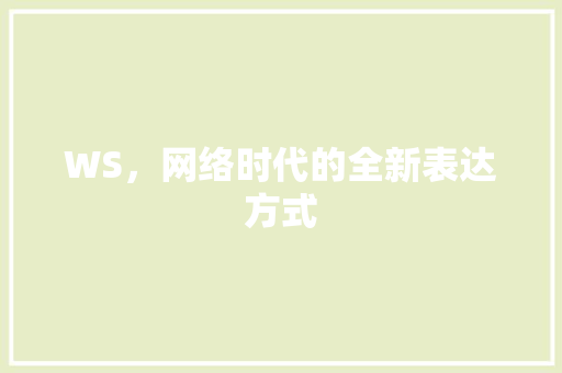 WS，网络时代的全新表达方式