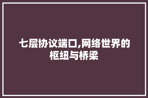 七层协议端口,网络世界的枢纽与桥梁