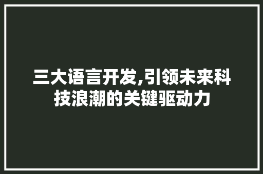 三大语言开发,引领未来科技浪潮的关键驱动力