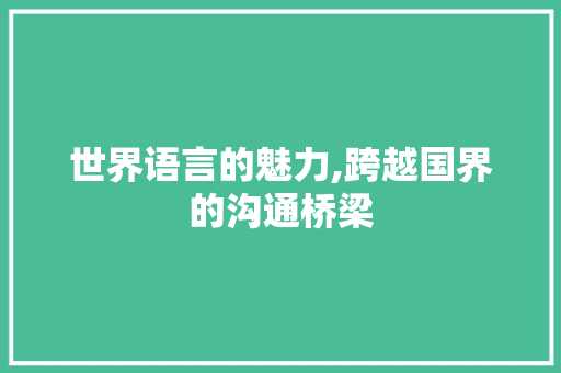 世界语言的魅力,跨越国界的沟通桥梁