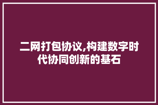 二网打包协议,构建数字时代协同创新的基石