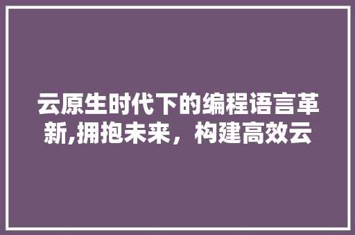 云原生时代下的编程语言革新,拥抱未来，构建高效云应用 Web前端