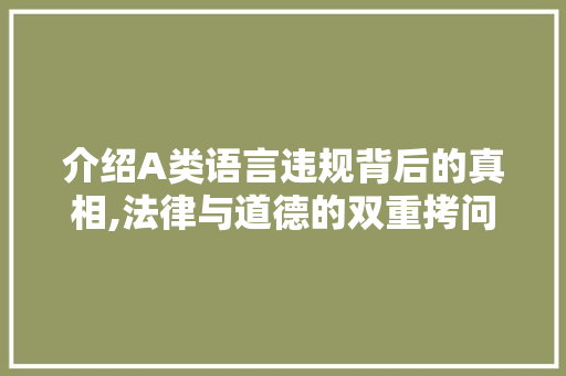介绍A类语言违规背后的真相,法律与道德的双重拷问