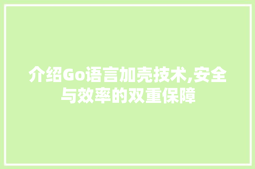 介绍Go语言加壳技术,安全与效率的双重保障 WordPress教程