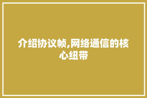 介绍协议帧,网络通信的核心纽带 SEO教程