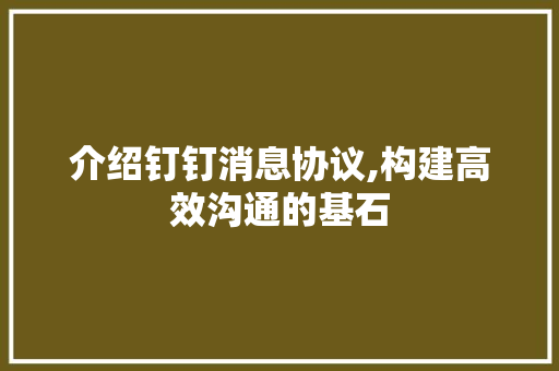 介绍钉钉消息协议,构建高效沟通的基石