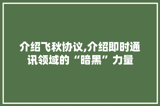 介绍飞秋协议,介绍即时通讯领域的“暗黑”力量
