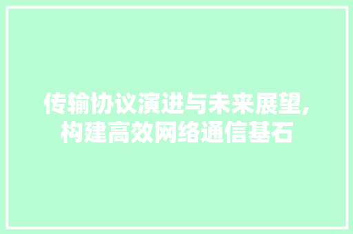 传输协议演进与未来展望,构建高效网络通信基石