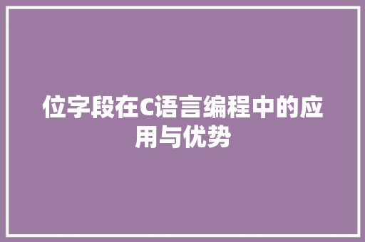 位字段在C语言编程中的应用与优势