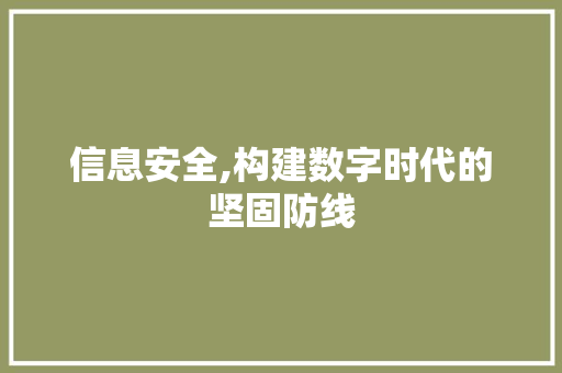 信息安全,构建数字时代的坚固防线