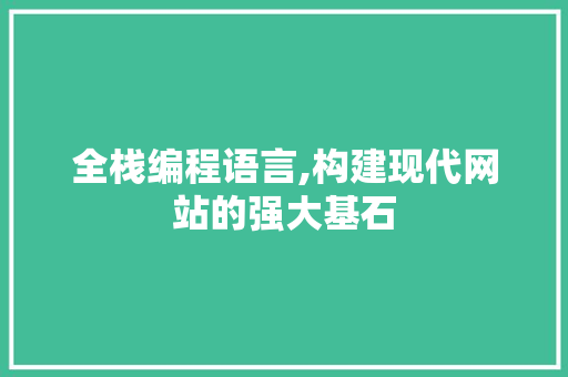 全栈编程语言,构建现代网站的强大基石