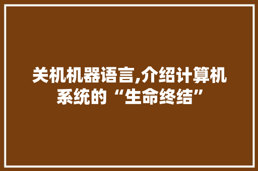 关机机器语言,介绍计算机系统的“生命终结”