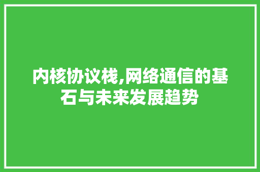 内核协议栈,网络通信的基石与未来发展趋势