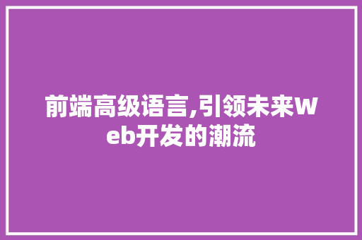 前端高级语言,引领未来Web开发的潮流