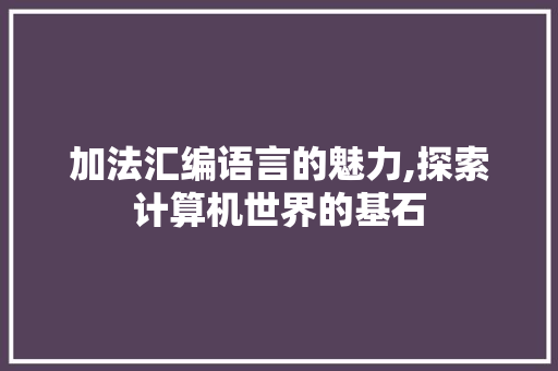 加法汇编语言的魅力,探索计算机世界的基石