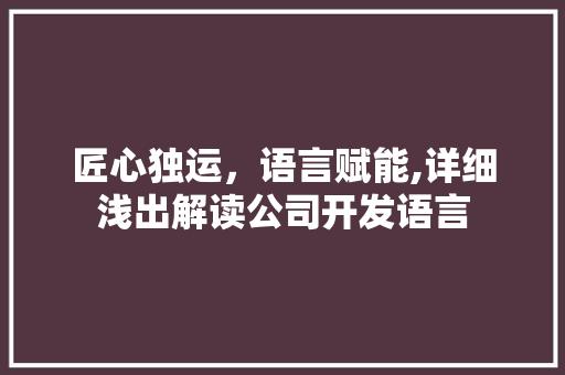 匠心独运，语言赋能,详细浅出解读公司开发语言 建站教程
