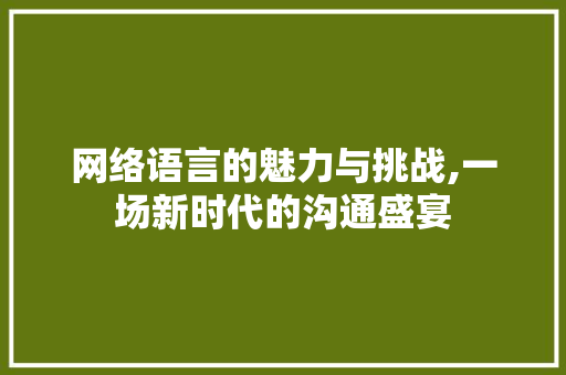 网络语言的魅力与挑战,一场新时代的沟通盛宴
