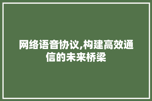 网络语音协议,构建高效通信的未来桥梁