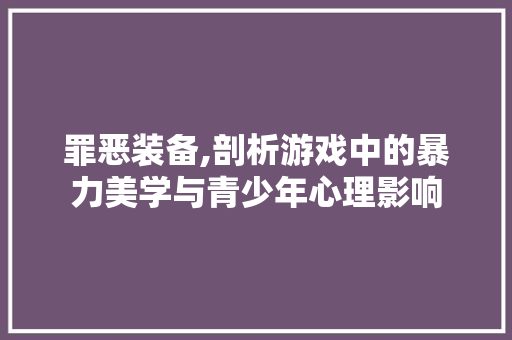 罪恶装备,剖析游戏中的暴力美学与青少年心理影响