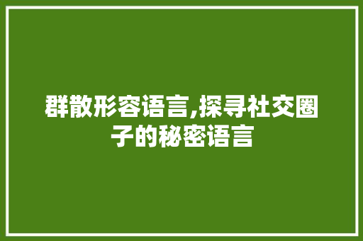群散形容语言,探寻社交圈子的秘密语言