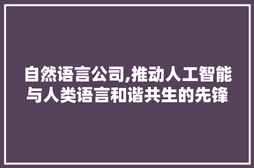 自然语言公司,推动人工智能与人类语言和谐共生的先锋力量