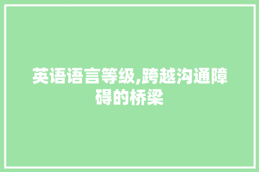 英语语言等级,跨越沟通障碍的桥梁