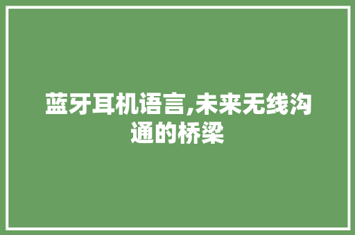蓝牙耳机语言,未来无线沟通的桥梁