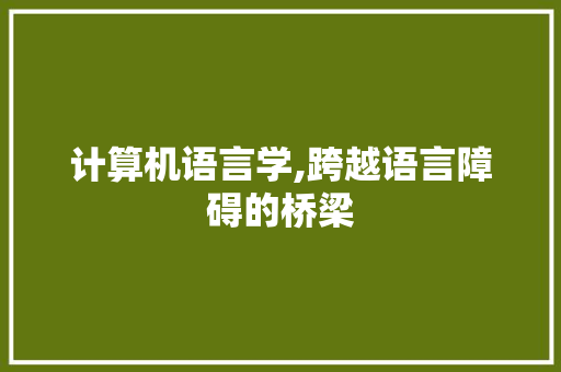 计算机语言学,跨越语言障碍的桥梁