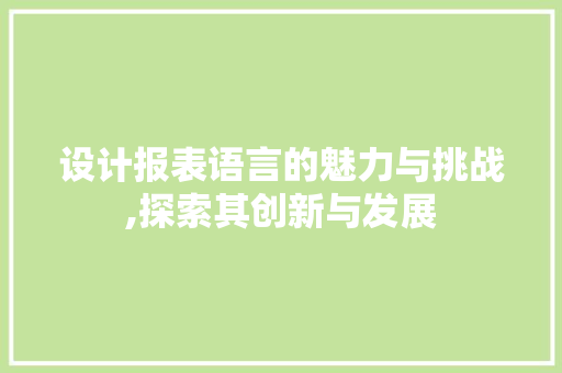 设计报表语言的魅力与挑战,探索其创新与发展
