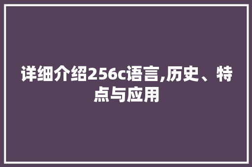 详细介绍256c语言,历史、特点与应用