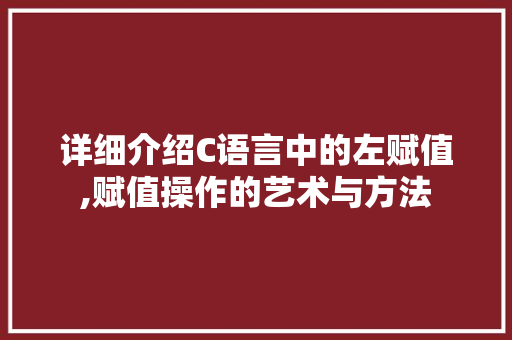 详细介绍C语言中的左赋值,赋值操作的艺术与方法
