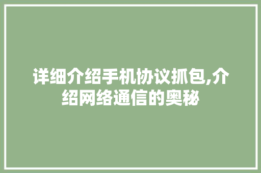 详细介绍手机协议抓包,介绍网络通信的奥秘 详细介绍手机协议抓包,介绍网络通信的奥秘