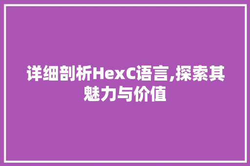 详细剖析HexC语言,探索其魅力与价值