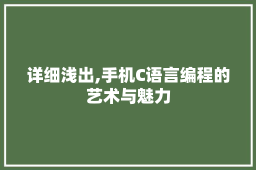详细浅出,手机C语言编程的艺术与魅力 SEO教程
