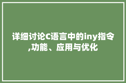 详细讨论C语言中的iny指令,功能、应用与优化