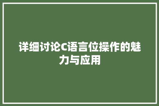 详细讨论C语言位操作的魅力与应用