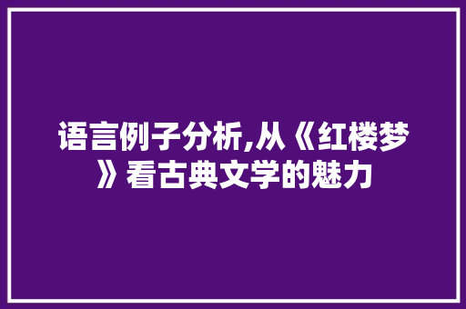 语言例子分析,从《红楼梦》看古典文学的魅力