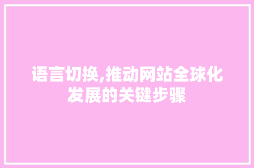 语言切换,推动网站全球化发展的关键步骤