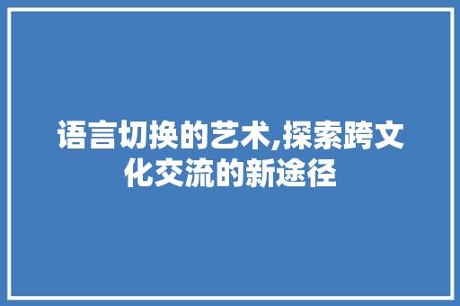 语言切换的艺术,探索跨文化交流的新途径