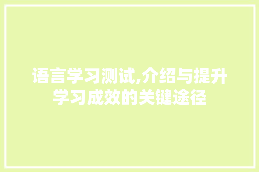 语言学习测试,介绍与提升学习成效的关键途径