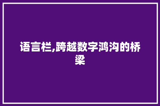 语言栏,跨越数字鸿沟的桥梁 SEO教程