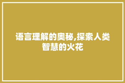 语言理解的奥秘,探索人类智慧的火花