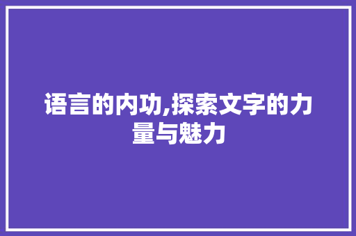 语言的内功,探索文字的力量与魅力