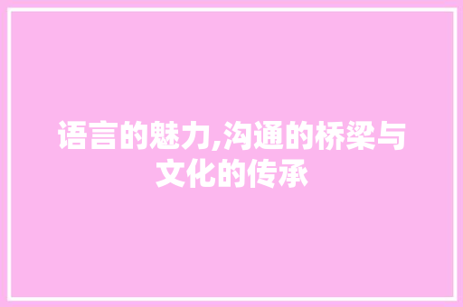 语言的魅力,沟通的桥梁与文化的传承